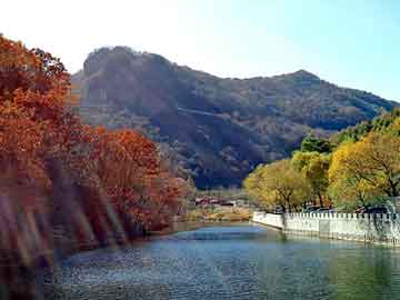 新澳天天开奖资料大全旅游团，鳗鲡鱼骨